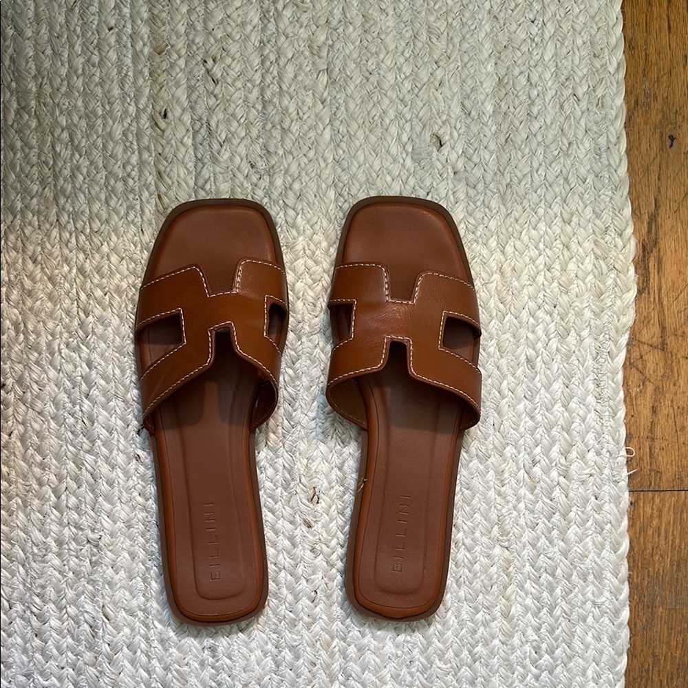 Brown Billini sandals